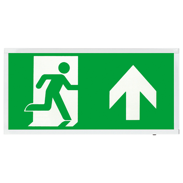 Duceri EMSTLED3WMEXBOXU Emergency Self-Test Exit Box Up Legend 3W LED IP20 White