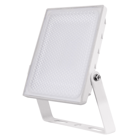 ESP NH10W-CL LED Security Light 10W White