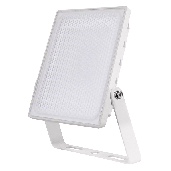 ESP NH10W-CL LED Security Light 10W White