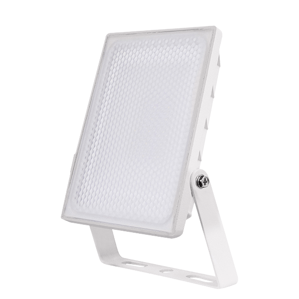 ESP NH20W-CL LED Security Light 20W White