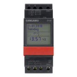 Sangamo 25162 Standard 2 Module 1 Channel, Yearly Timer, 300 Operations