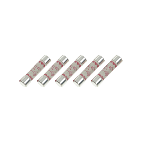 Sangamo PSPFUSE Power Saver PLUS Spare Fuses (pack OF 5)