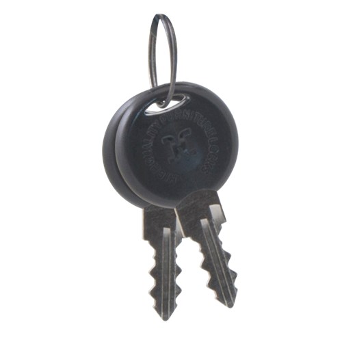 ESP DOCBOX Spare Keys Pack Of 2 DOCBOXK - West Midland Electrics | CCTV & Electrical Wholesaler