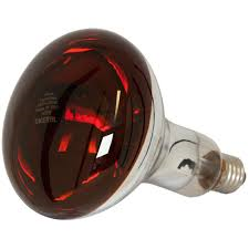 Supreme Imports Heat Lamp RUBY -RED 250W Es Hard Glass S5951 - West Midland Electrics | CCTV & Electrical Wholesaler